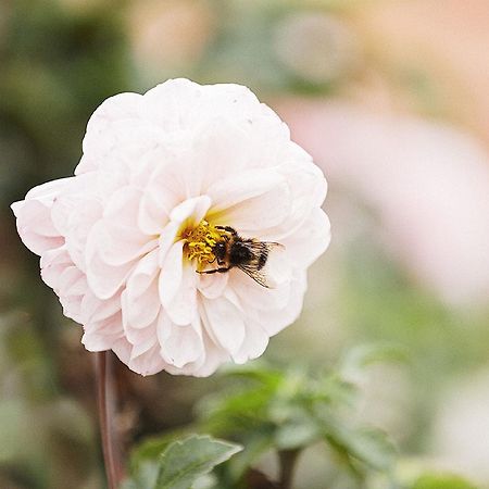 Gasthaus Hummel Duggendorf Dış mekan fotoğraf